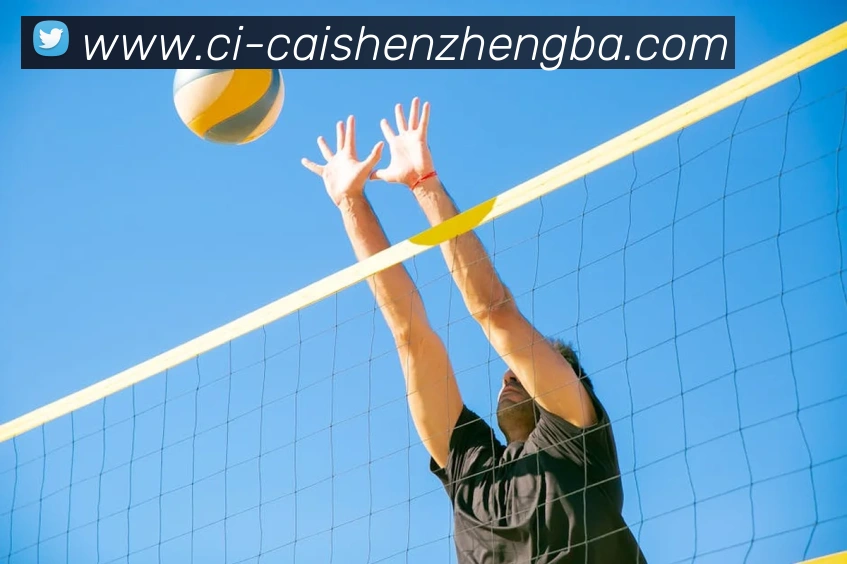 彩神争霸平台生态图